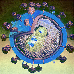 Virus HIV